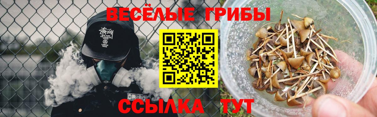 Борзя  Псилоцибиновые грибы мицелий  Галлюциногенные грибы Psilocybe  Вход с VPN 